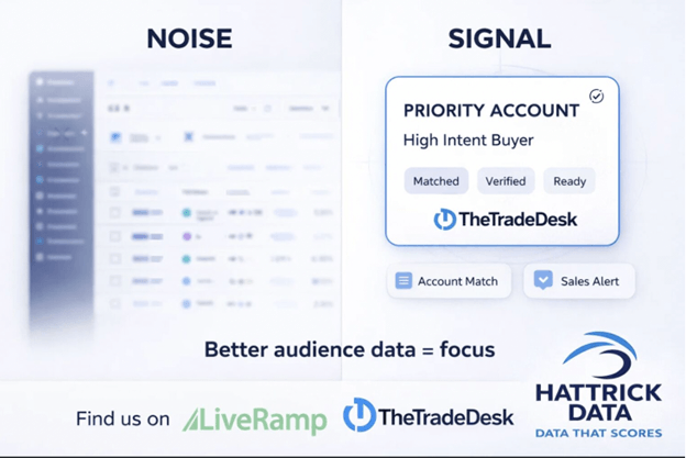 Sales team using audience data to prioritize accounts and reach decision-makers